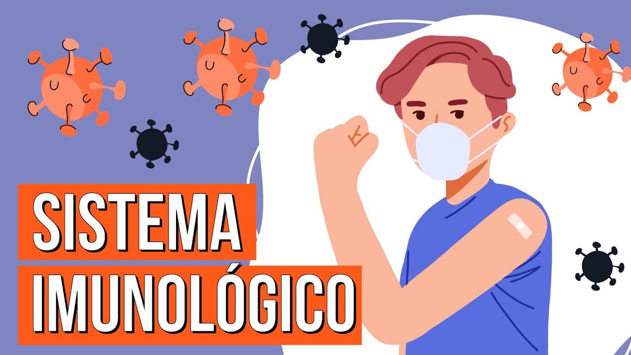 Thumbnail: COMO FUNCIONA O SISTEMA IMUNOLÓGICO | Resumo de Biologia Enem