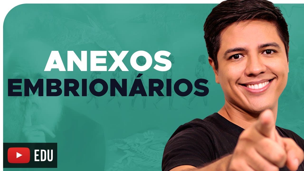 Thumbnail: ANEXOS EMBRIONÁRIOS - EMBRIOLOGIA - Prof. Kennedy Ramos