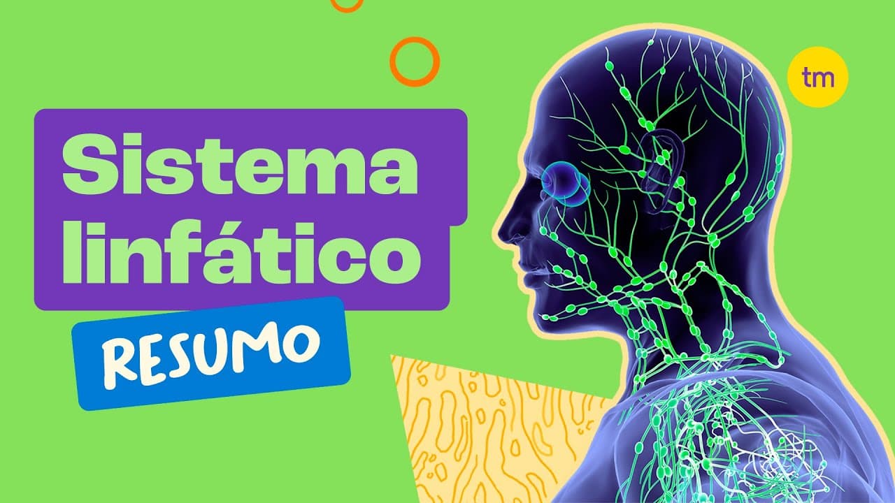 Thumbnail: Conheça o SISTEMA LINFÁTICO (Resumo)