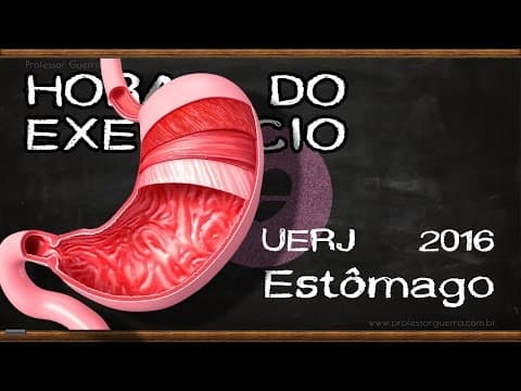 Thumbnail da aula: Estômago - UERJ 2016