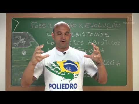 Thumbnail da aula: Videoaulas Poliedro | Enem | Fossilização X Evolução