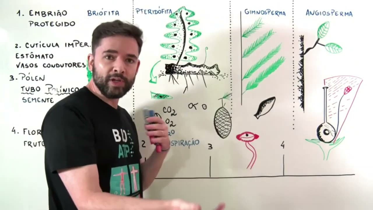 Thumbnail: Revisão ENEM Botânica A conquista do ambiente terrestre pelas plantas corte da live
