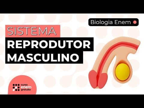 Thumbnail da aula: SISTEMA REPRODUTOR MASCULINO | Resumo de Biologia para o Enem