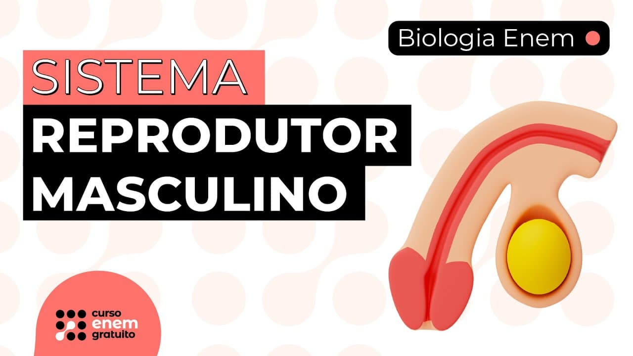 Thumbnail: SISTEMA REPRODUTOR MASCULINO | Resumo de Biologia para o Enem