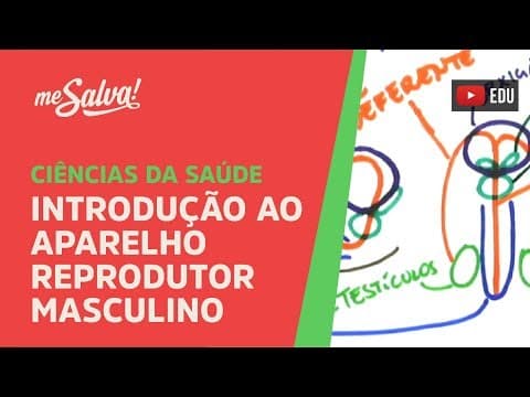 Thumbnail da aula: Me Salva! SREP01 - Introdução ao Aparelho Reprodutor Masculino - Histologia Humana