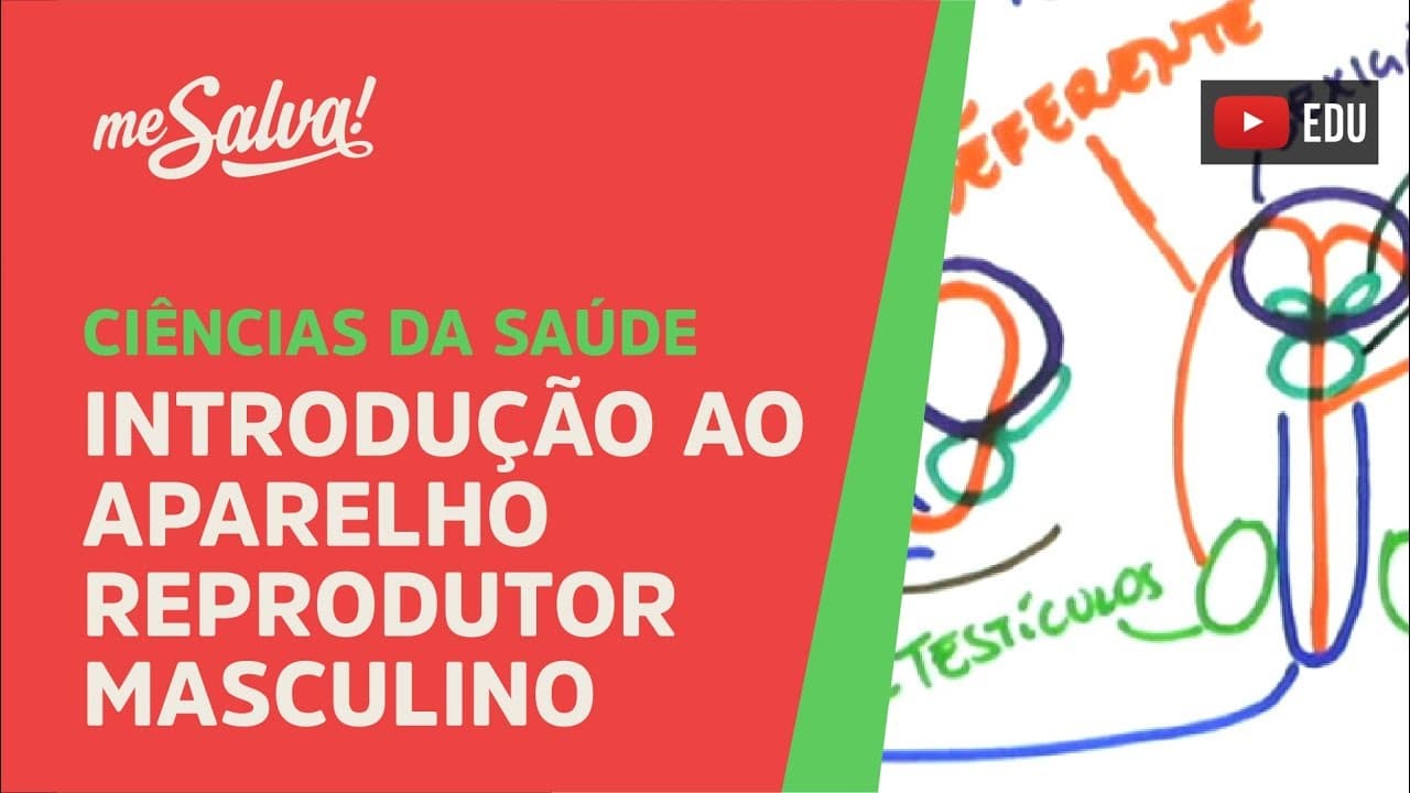Thumbnail: Me Salva! SREP01 - Introdução ao Aparelho Reprodutor Masculino - Histologia Humana
