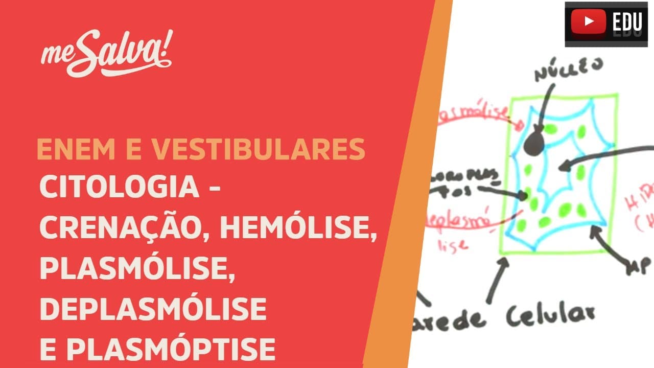 Thumbnail: Me Salva! CIT16 - Citologia - Crenação, Hemólise, Plasmólise, Deplasmólise e Plasmóptise