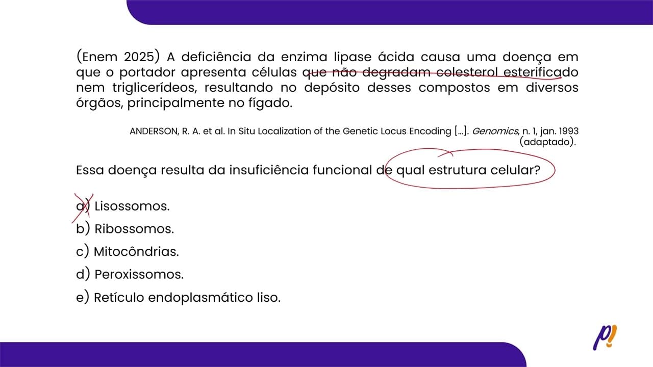 Thumbnail: ENEM 2025 | A deficiência da enzima lipase ácida causa uma doença em que o portador...