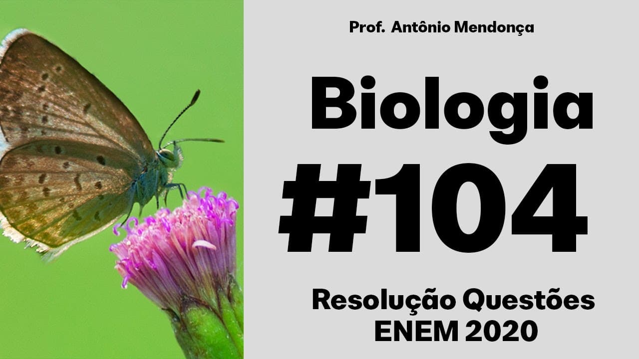 Thumbnail: ENEM 2020 Questão 104 - Grupos de proteção ao meio ambiente conseguem resgatar muitas aves aquáticas