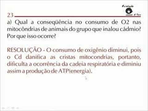 Thumbnail da aula: BIO 10, 11 e 12 Resolução UNICAMP 2ª Fase