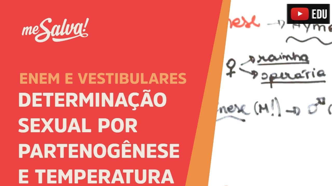 Thumbnail: Me Salva! GEN19 - Genética - Determinação sexual por partenogênese e temperatura