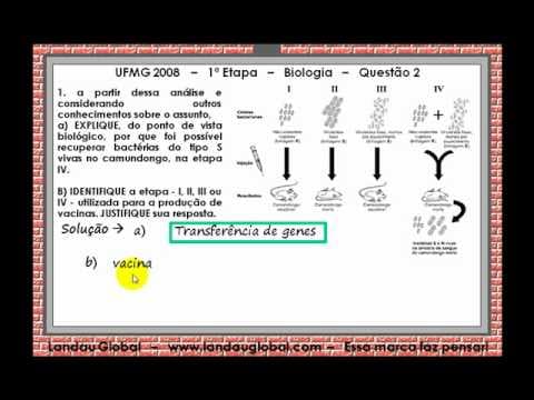 Thumbnail da aula: UFMG_2009_BIO_P2_Q2