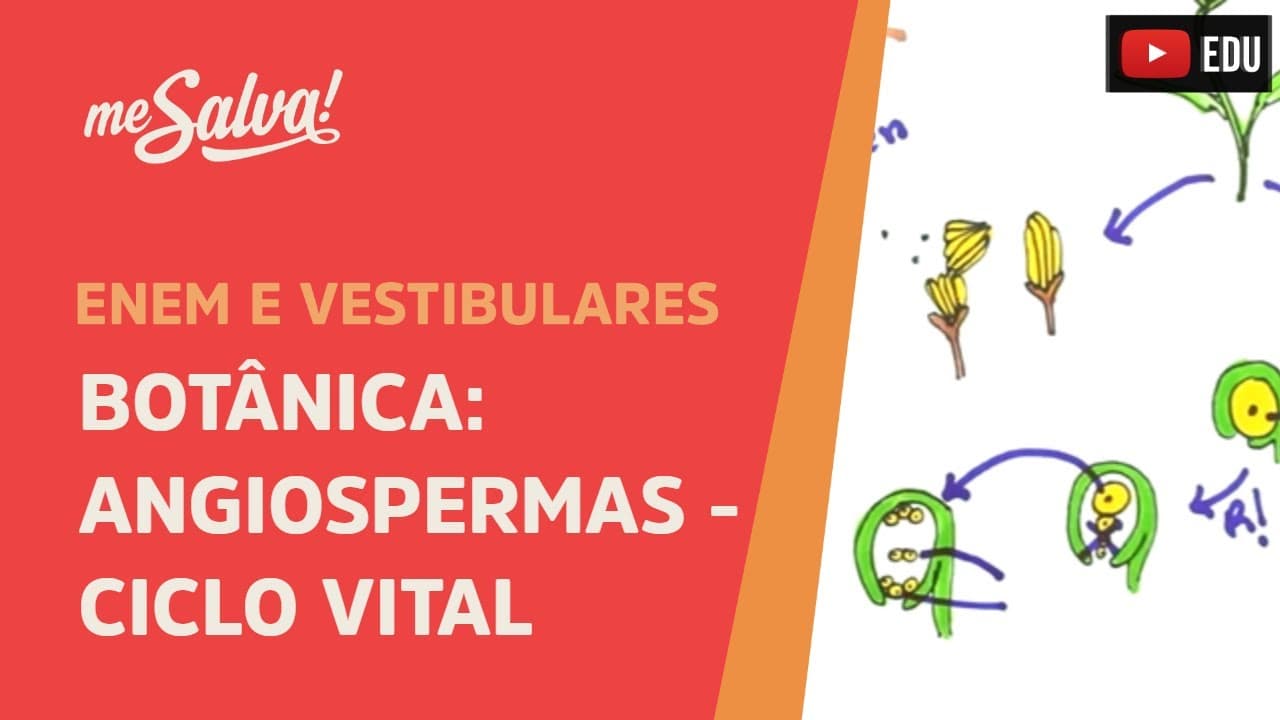 Thumbnail: Me Salva! BOT11 - Botânica - Angiospermas: Ciclo Vital