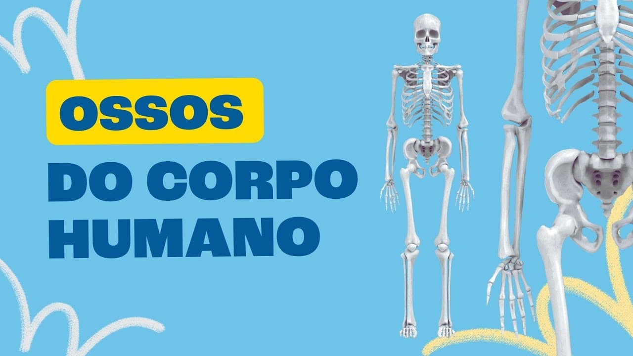 Thumbnail: Ossos do Corpo Humano - Toda Matéria
