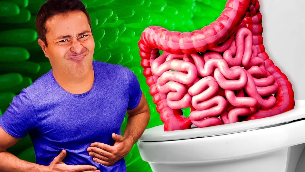 Thumbnail: SISTEMA DIGESTÓRIO: Intestinos | AULA 5