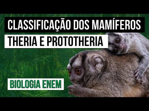 Thumbnail da aula: CLASSIFICAÇÃO DOS MAMÍFEROS: Theria e Prototheria | Biologia para o Enem | Cláudia de Souza Aguiar