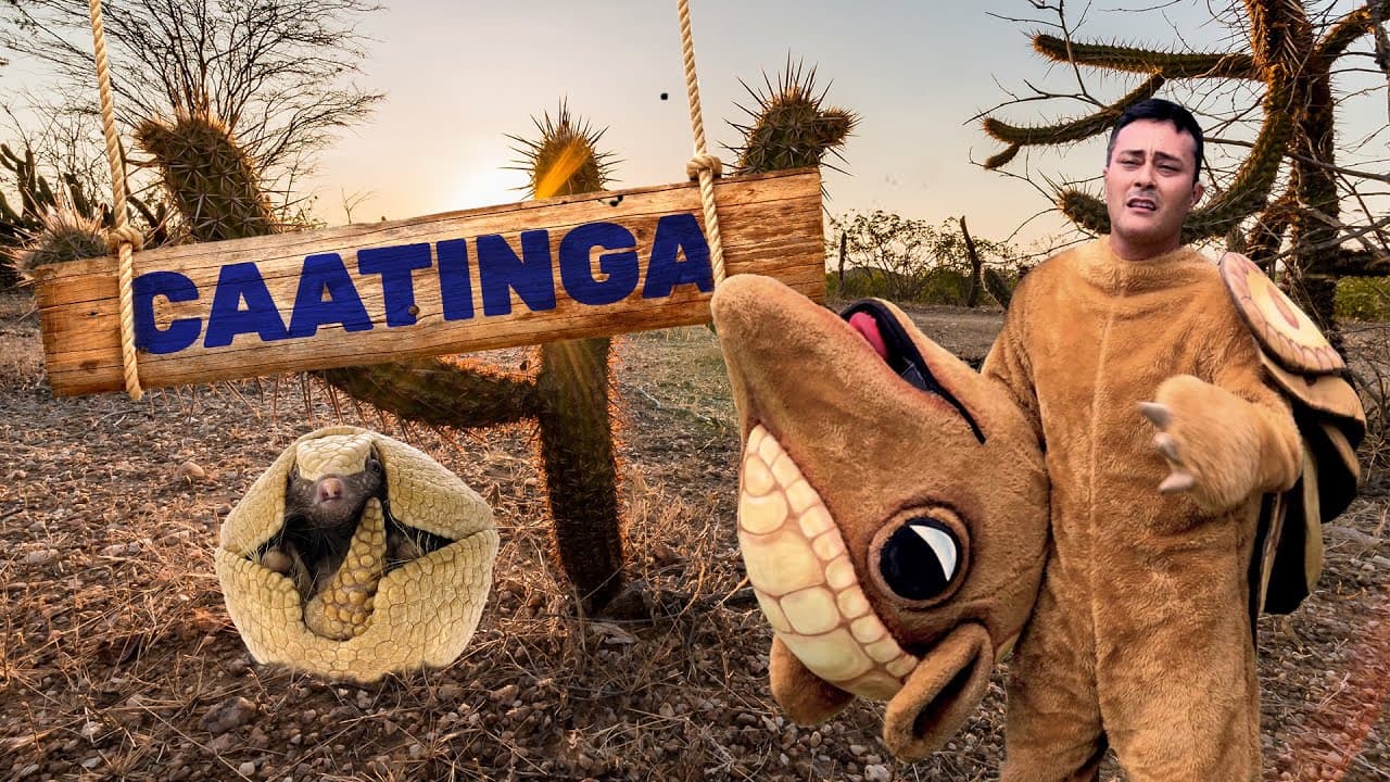 Thumbnail: Caatinga | Biomas do Brasil | Ep.6