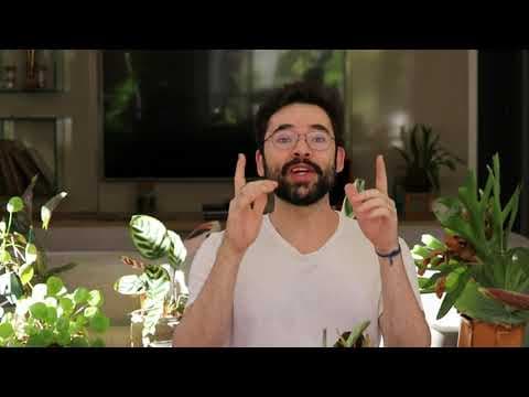 Thumbnail da aula: Insulina, glucagon, o controle da taxa de glicose no sangue e o possível diabetes