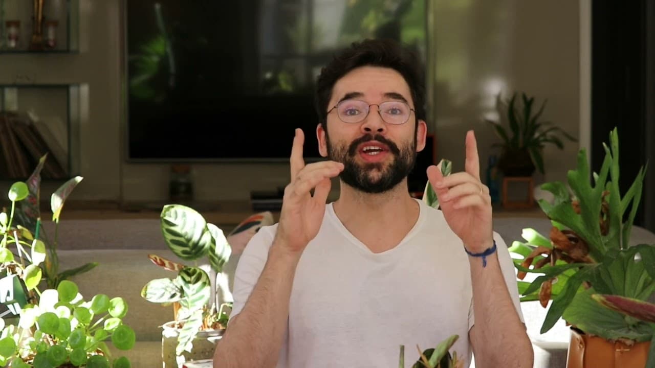 Thumbnail: Insulina, glucagon, o controle da taxa de glicose no sangue e o possível diabetes