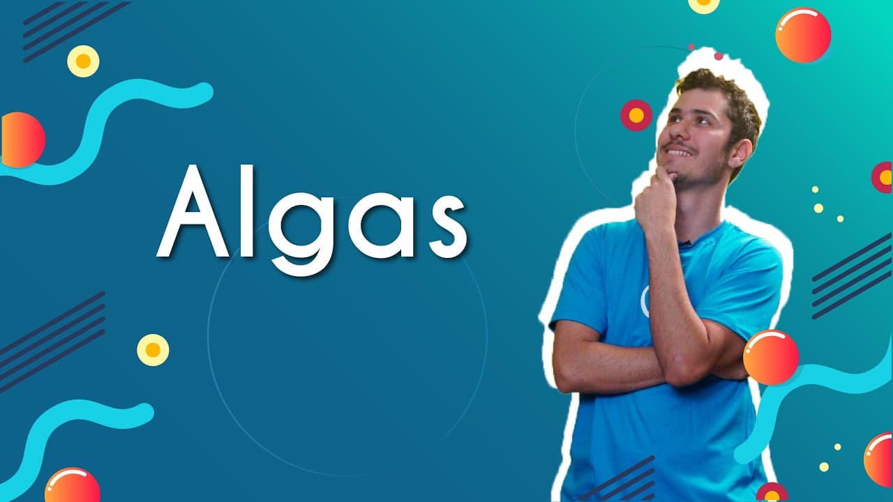 Thumbnail: Algas - Brasil Escola