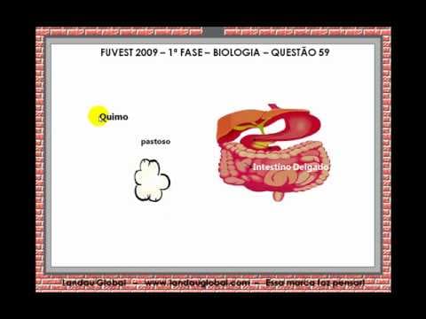 Thumbnail da aula: USP_2009_BIO_P1_Q59