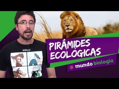 Thumbnail da aula: 🌱 Ecologia (5/7): Pirâmides Ecológicas - Biologia - ENEM