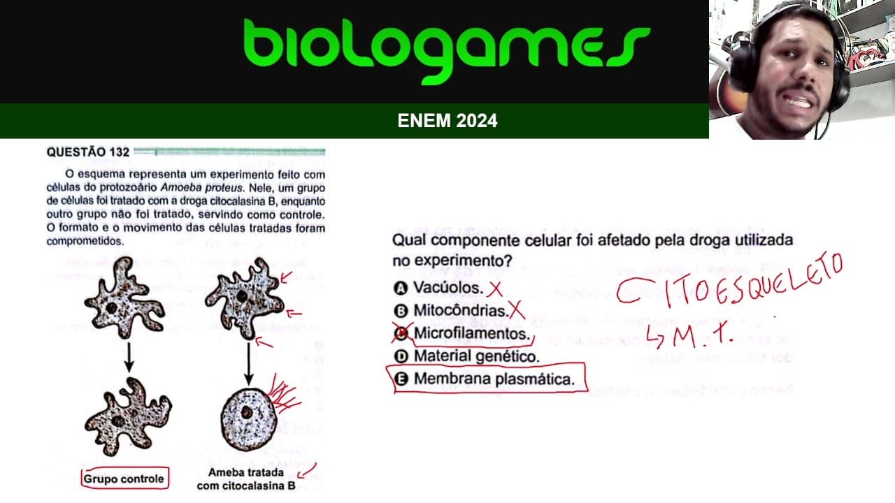 Thumbnail: ENEM 2024 - PROVA VERDE - Questão 132