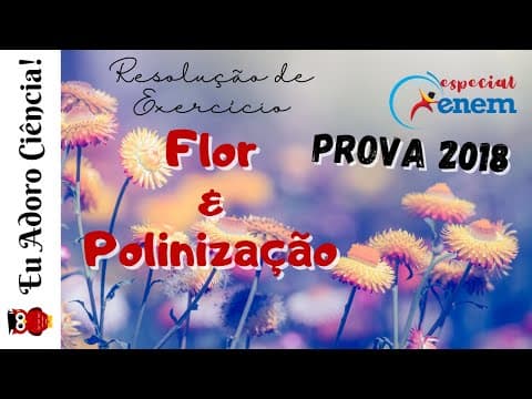 Thumbnail da aula: ENEM e VESTIBULARES - BIOLOGIA | Resolução de Exercício: Botânica: Flor e Polinização | Prepare-se!