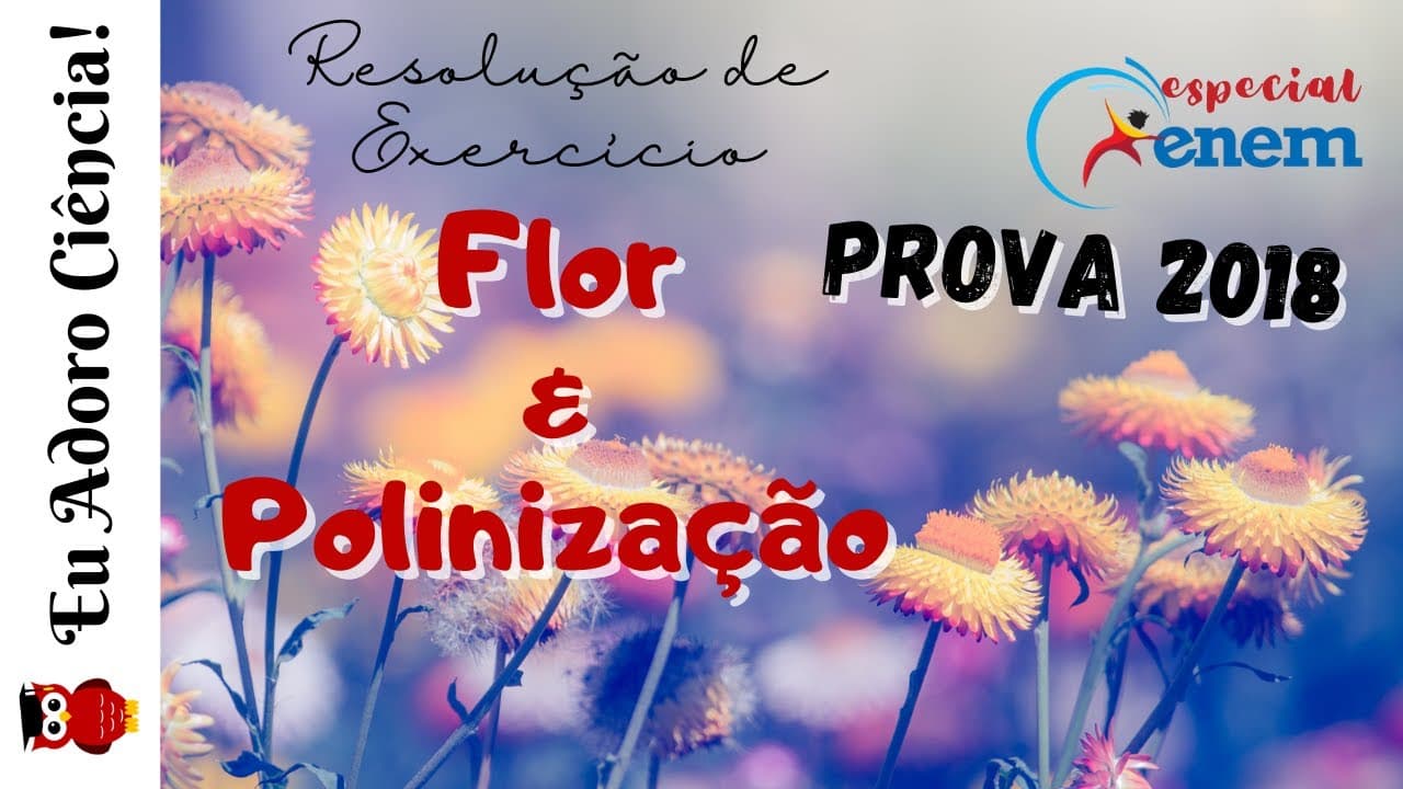 Thumbnail: ENEM e VESTIBULARES - BIOLOGIA | Resolução de Exercício: Botânica: Flor e Polinização | Prepare-se!