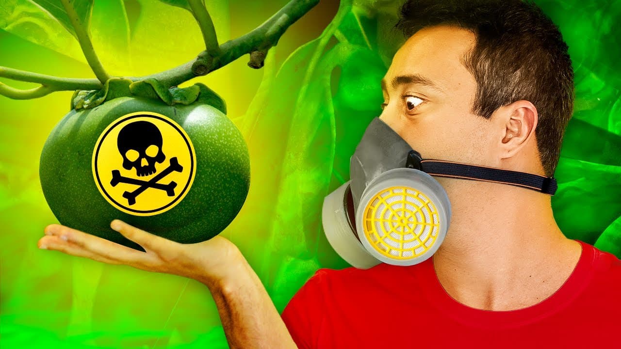 Thumbnail: A ÁRVORE mais MORTAL do mundo