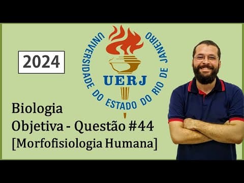 Thumbnail da aula: UERJ - 2024 - Biologia - Questão 44 - Morfofisiologia Humana