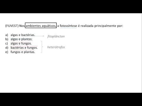 Thumbnail da aula: BIOLOGIA | FUVEST Exercício Resolvido #002
