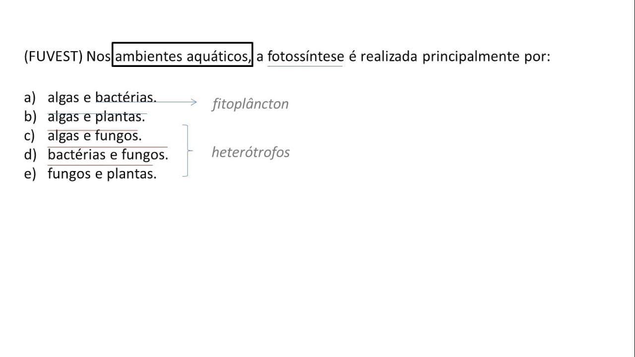 Thumbnail: BIOLOGIA | FUVEST Exercício Resolvido #002