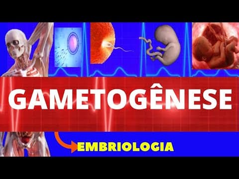 Thumbnail da aula: GAMETOGÊNESE - ESPERMATOGÊNESE E OVOGÊNESE - EMBRIOLOGIA HUMANA - FORMAÇÃO DOS GAMETAS