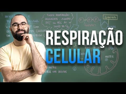 Thumbnail da aula: Mitocôndria e Respiração Celular - Aula 26 - Módulo 1 - Biologia Celular | Prof. Guilherme