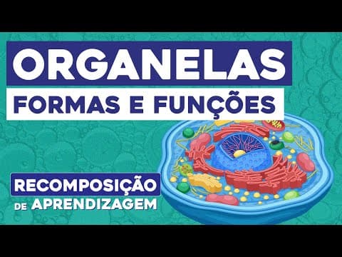 Thumbnail da aula: ORGANELAS: formas e funções | Biologia | Recomposição de Aprendizagem | Cláudia de Souza  Aguiar