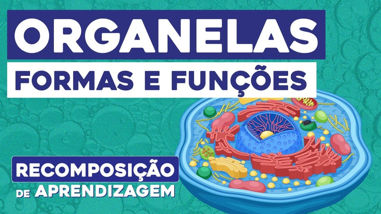 Thumbnail: ORGANELAS: formas e funções | Biologia | Recomposição de Aprendizagem | Cláudia de Souza Aguiar