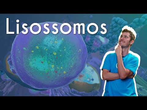 Thumbnail da aula: Lisossomos - Brasil Escola