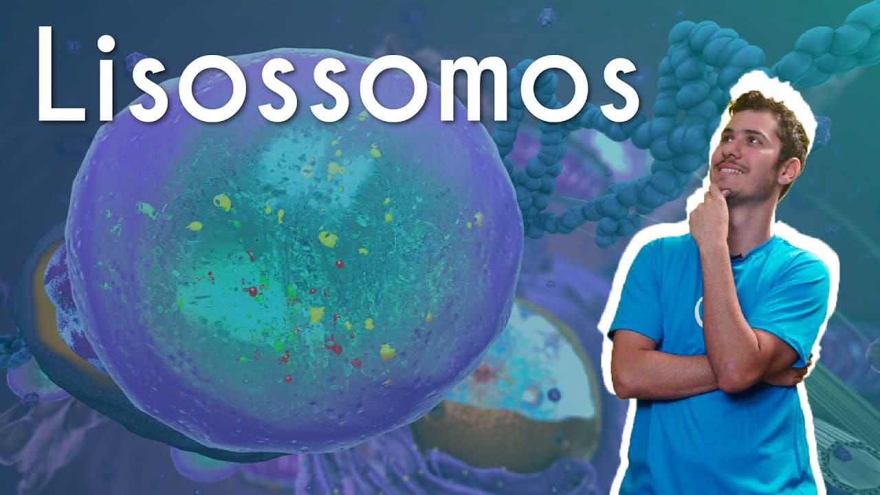 Thumbnail: Lisossomos - Brasil Escola