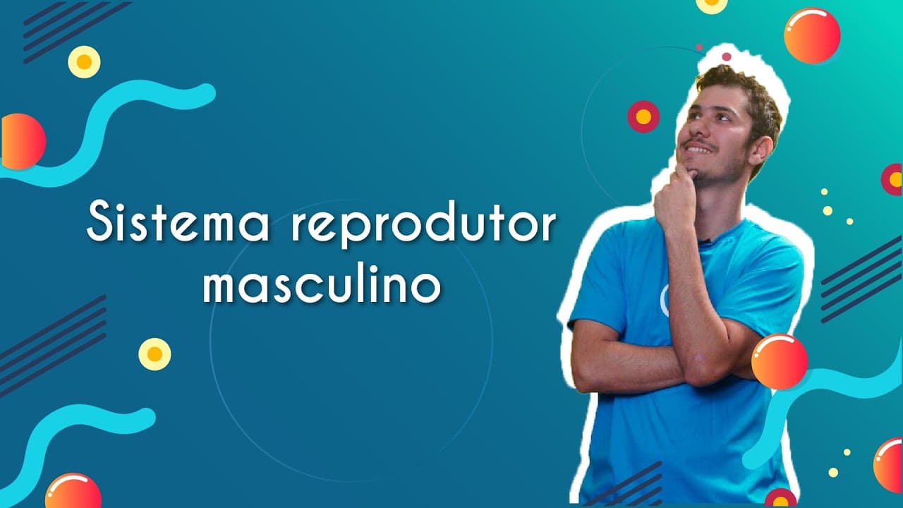 Thumbnail: Sistema reprodutor masculino - Brasil Escola