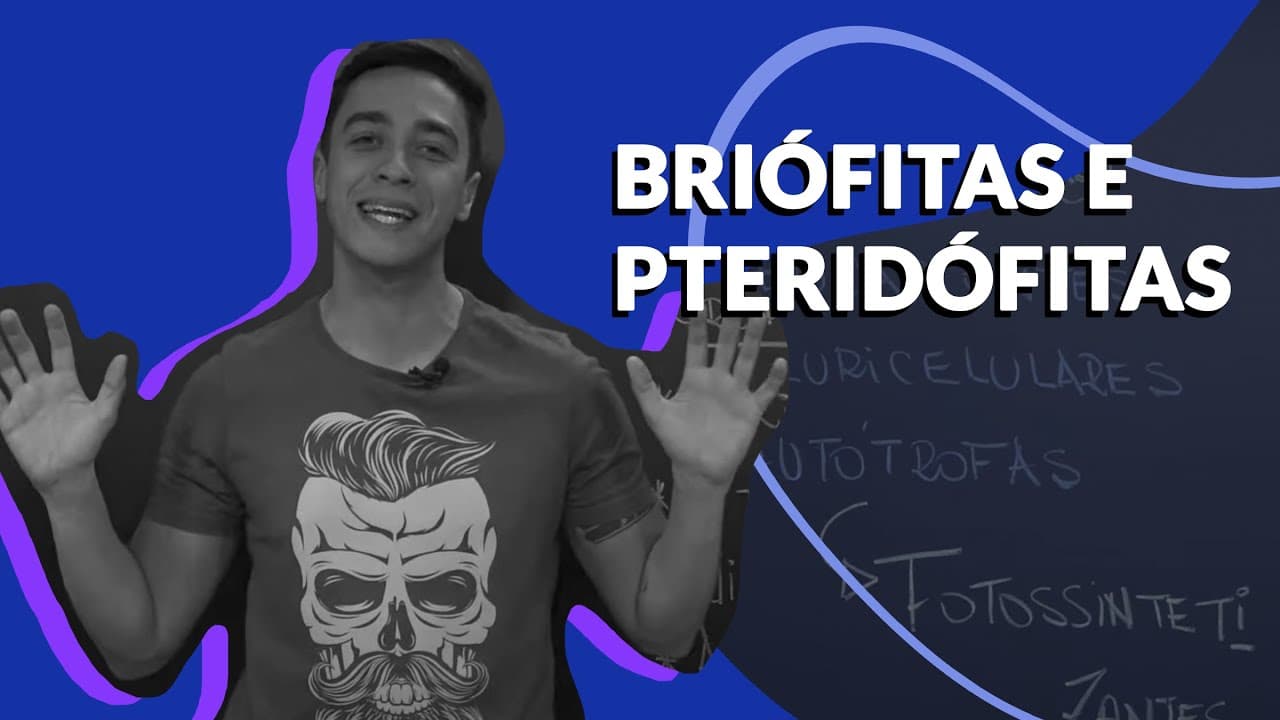 Thumbnail: Stoodi | Pocket Aula: Biologia - Briófitas e Pteridófitas