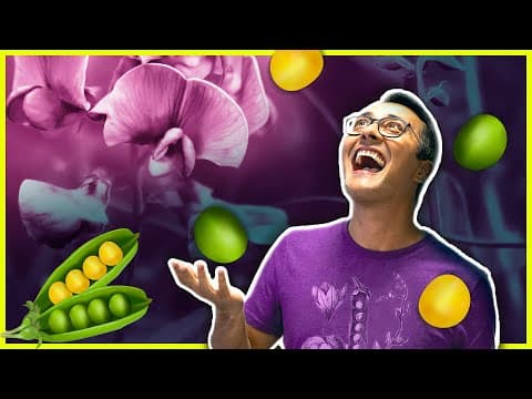 Thumbnail da aula: 1a Lei de Mendel | Prof. Paulo Jubilut