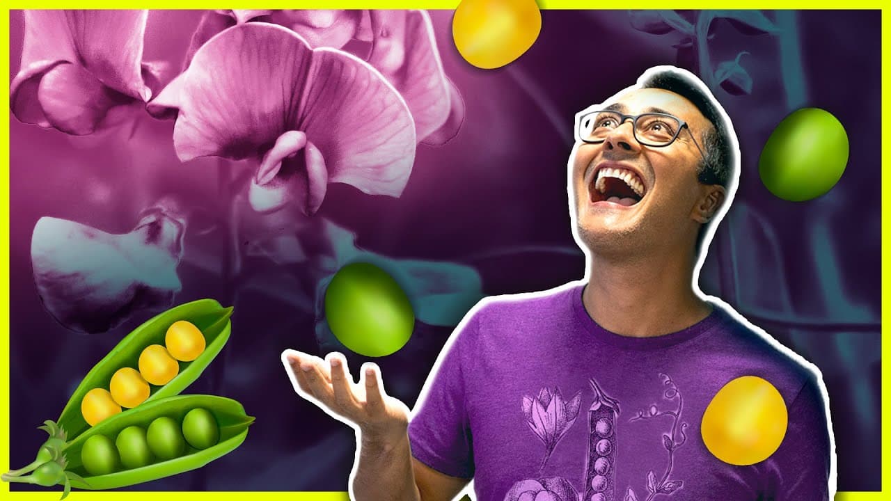 Thumbnail: 1a Lei de Mendel | Prof. Paulo Jubilut