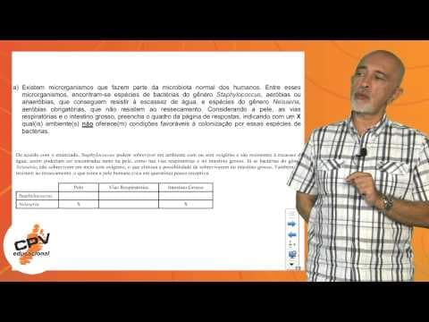 Thumbnail da aula: Biologia - Fuvest 2013 - 2ª fase - 2º Dia