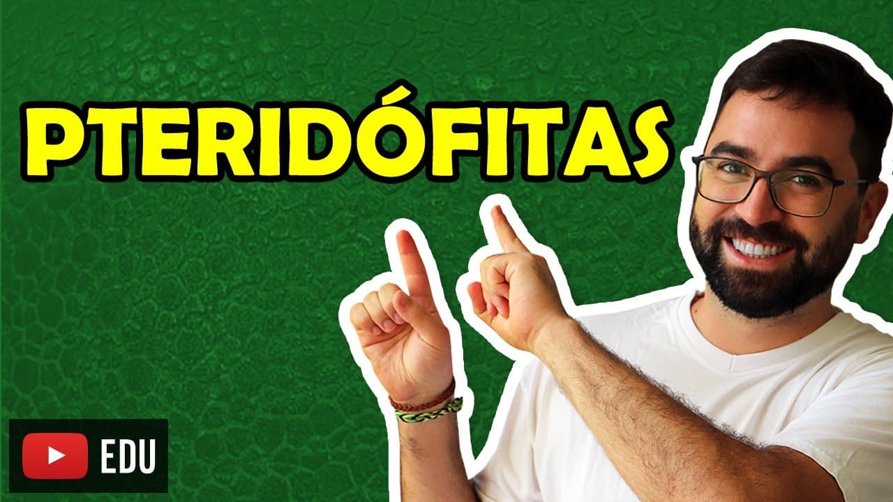 Thumbnail: Pteridófitas - Aula 03 - Módulo V: Botânica | Prof. Guilherme