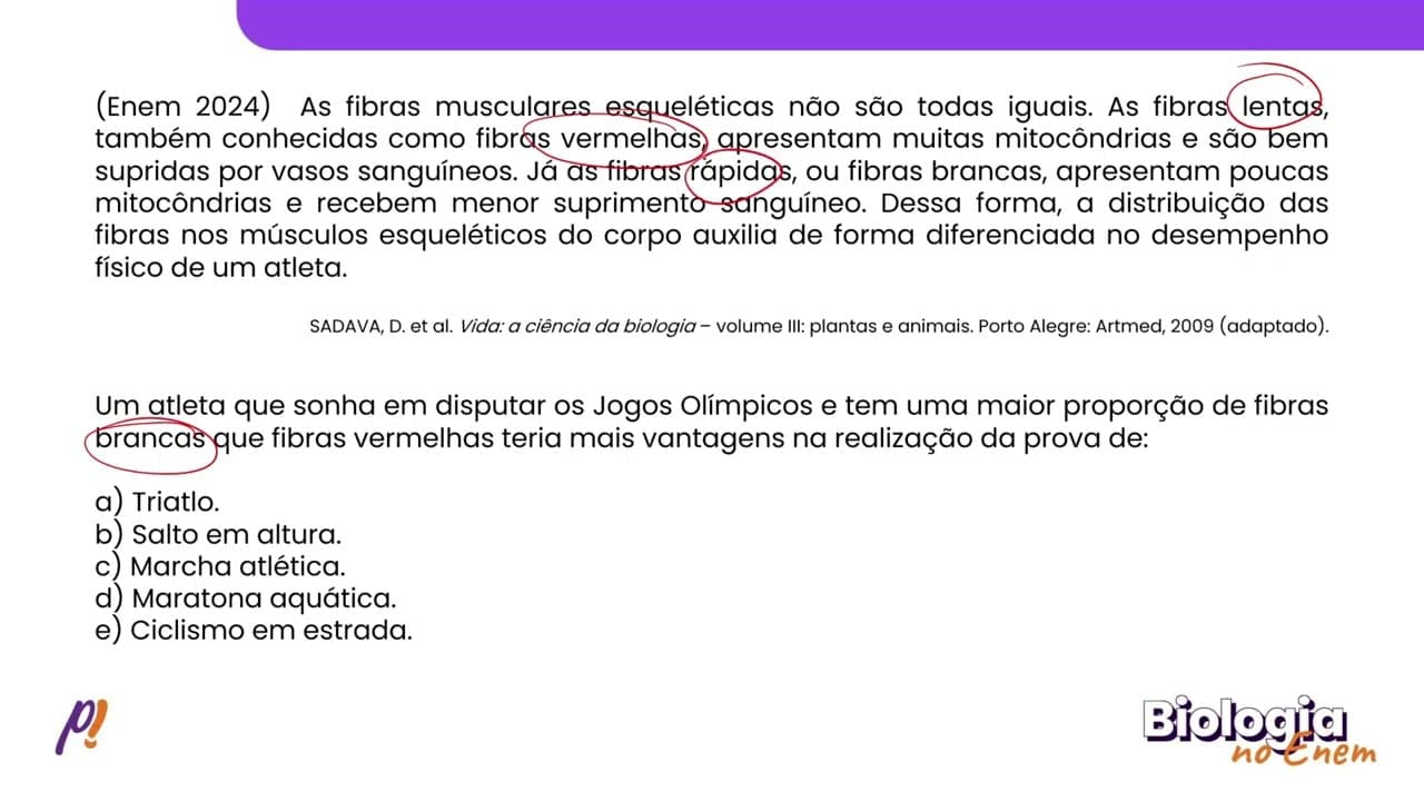 Thumbnail: ENEM 2024 - EMBRIOLOGIA E HISTOLOGIA | As fibras musculares esqueléticas não são todas iguais...