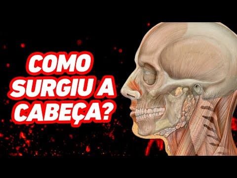 Thumbnail da aula: Como surgiu a cabeça?