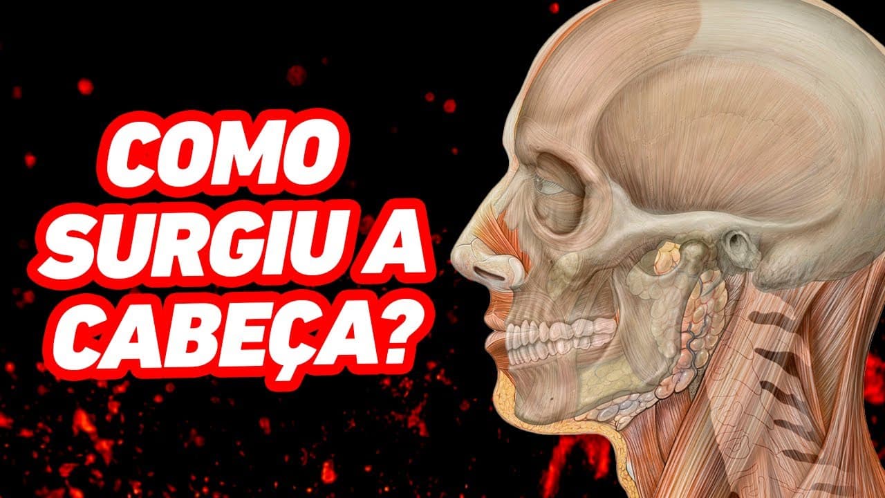 Thumbnail: Como surgiu a cabeça?