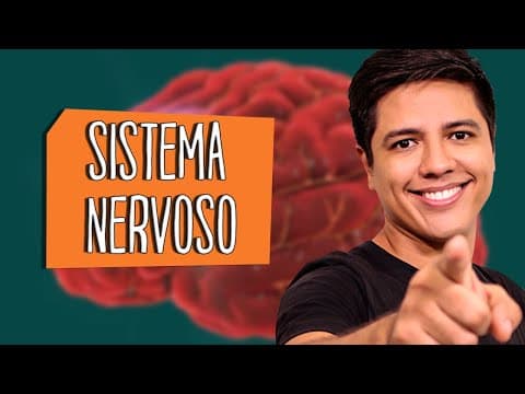 Thumbnail da aula: SISTEMA NERVOSO - ANATOMIA E FISIOLOGIA - Biologia com Prof. Kennedy