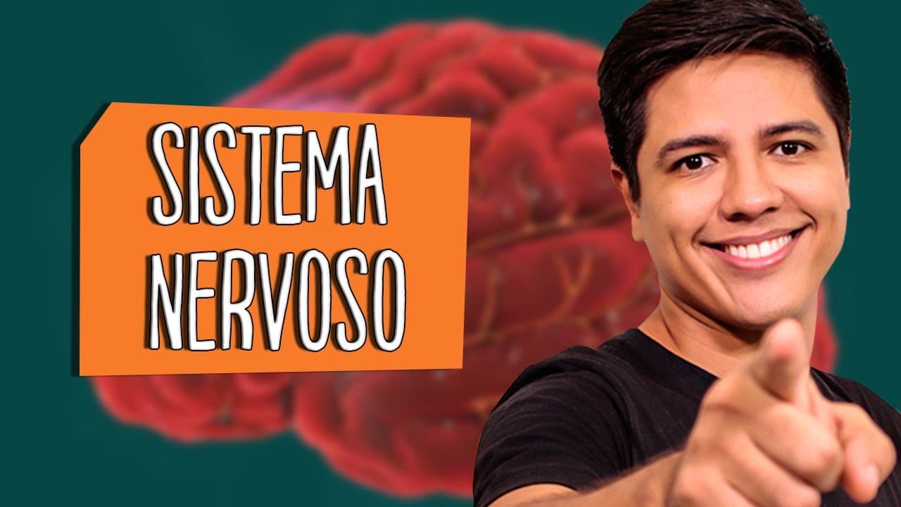 Thumbnail: SISTEMA NERVOSO - ANATOMIA E FISIOLOGIA - Biologia com Prof. Kennedy